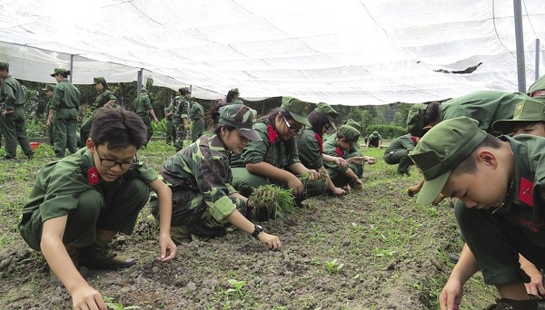 Để trẻ em có một mùa hè ý nghĩa